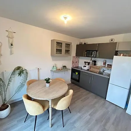 Recent Confort קאין